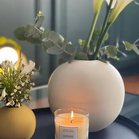 Beaux-arts • 2 2 Sdb • Parking Prive * 루앙